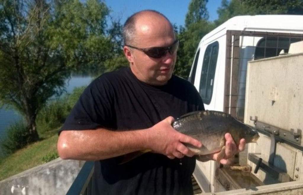Idén már ötödször telepítettek halakat a Domb melletti tóba