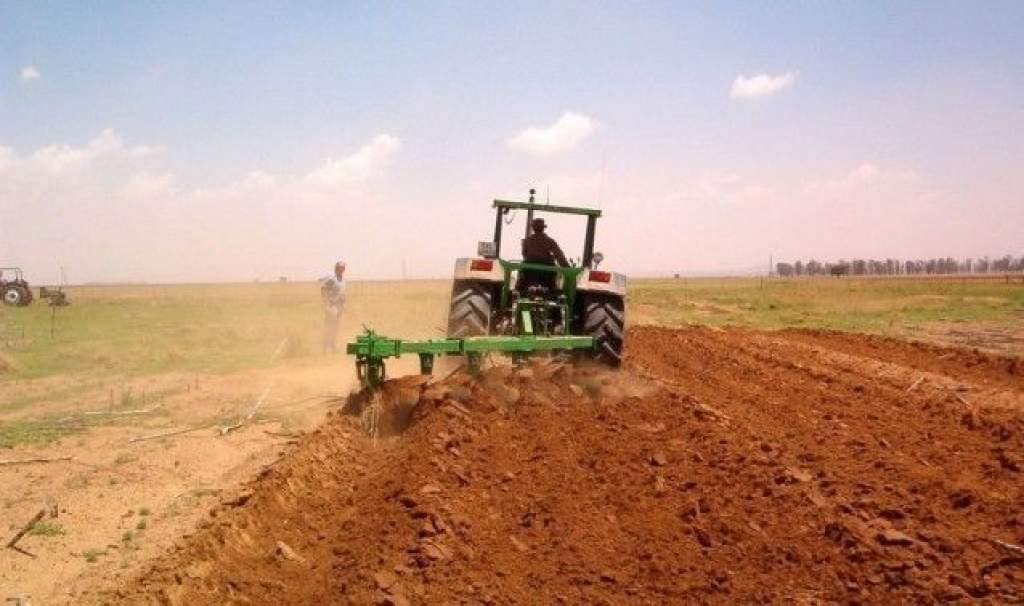 Folytatódnak a „Földet gazdáknak!” program árverései Bács-Kiskun megyében
