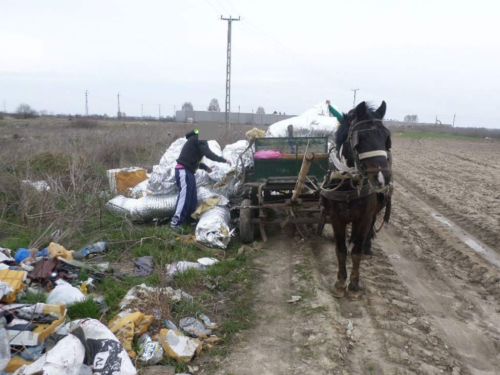 Környezetszennyező hulladékot jogellenesen elhelyező személyeket értek tettek