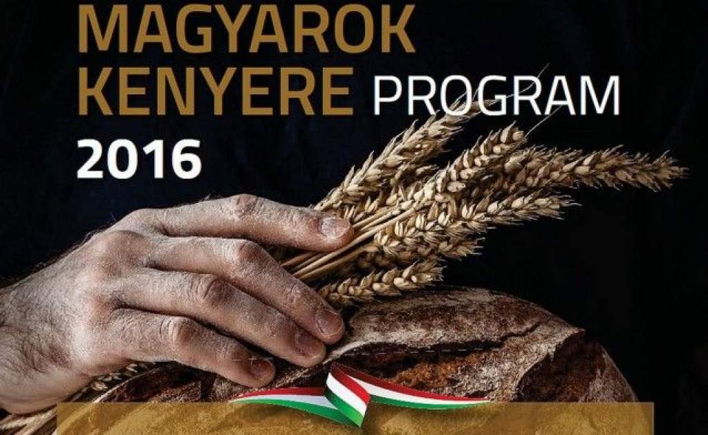 Magyarok Kenyere program 2016 - Búzagyűjtő nap