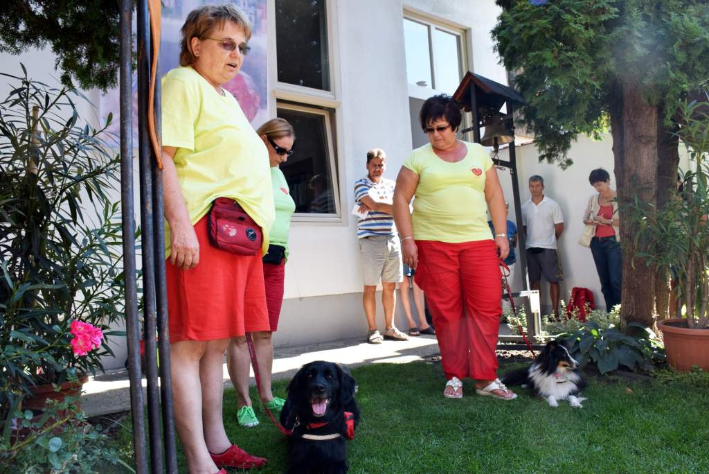 Terápiás bemutatót tartott a Kutyával Egy Mosolyért Alapítvány a Wojtyla népkonyha udvarán