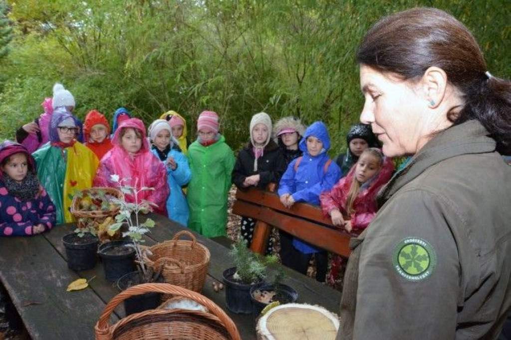 Természetismereti foglalkozások iskolásoknak a Kecskeméti Arborétumban