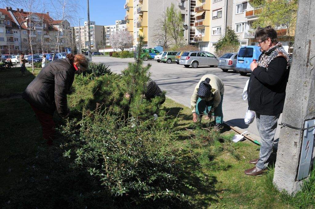 Folytatódtak a kertészeti munkálatok az Egressy utca közterületein