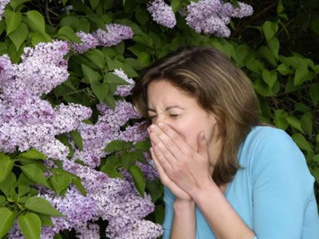 Csökkent a levegő pollenterhelése!
