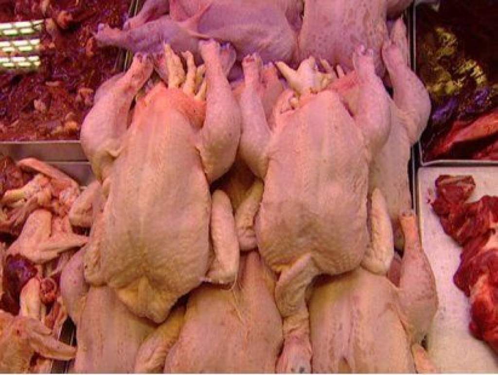 Tízből hét magyar csirke szalmonellás