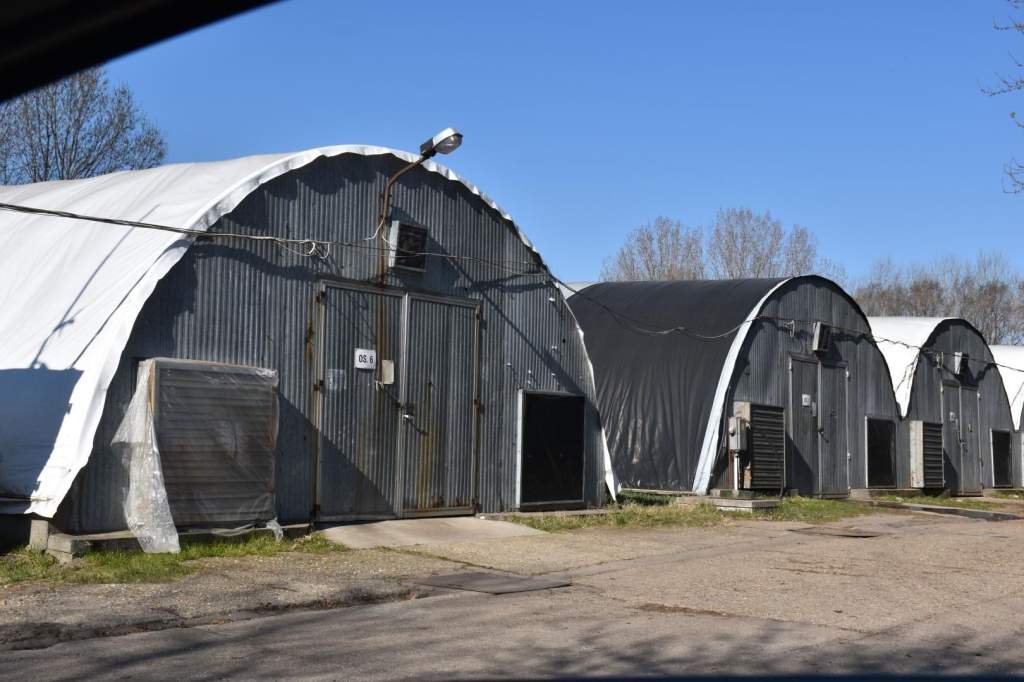 Laskagomba a Pilze-Nagy Kft-től