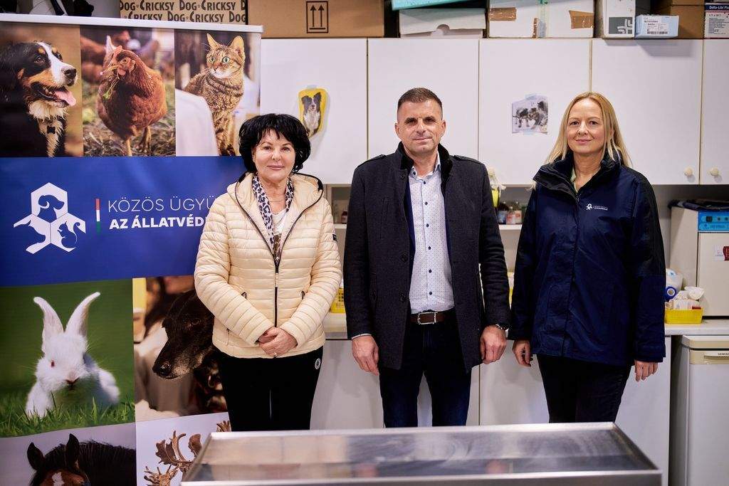 Újabb 50 millió forintot fordít a Közös ügyünk az állatvédelem Alapítvány ivartalanításra