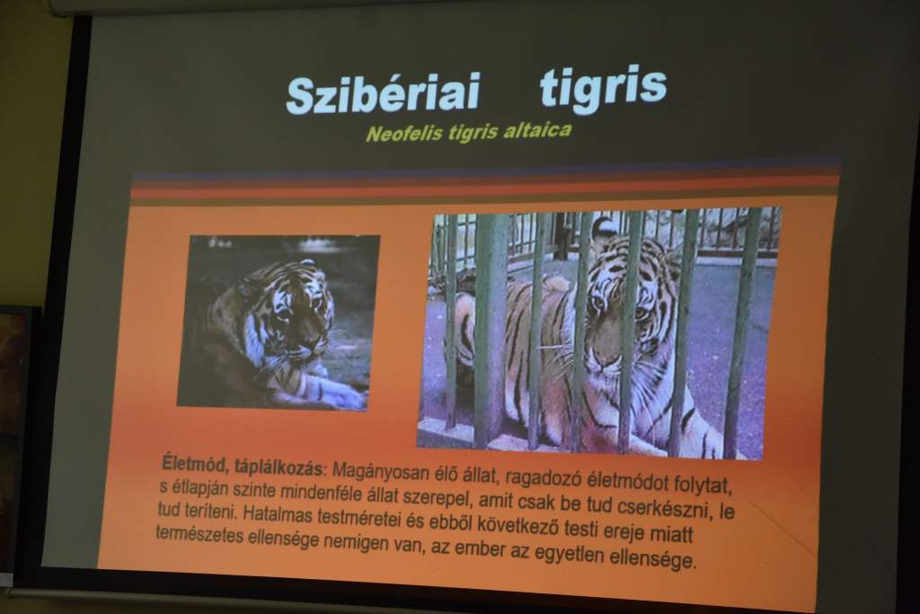 Bolygónk állatvilága