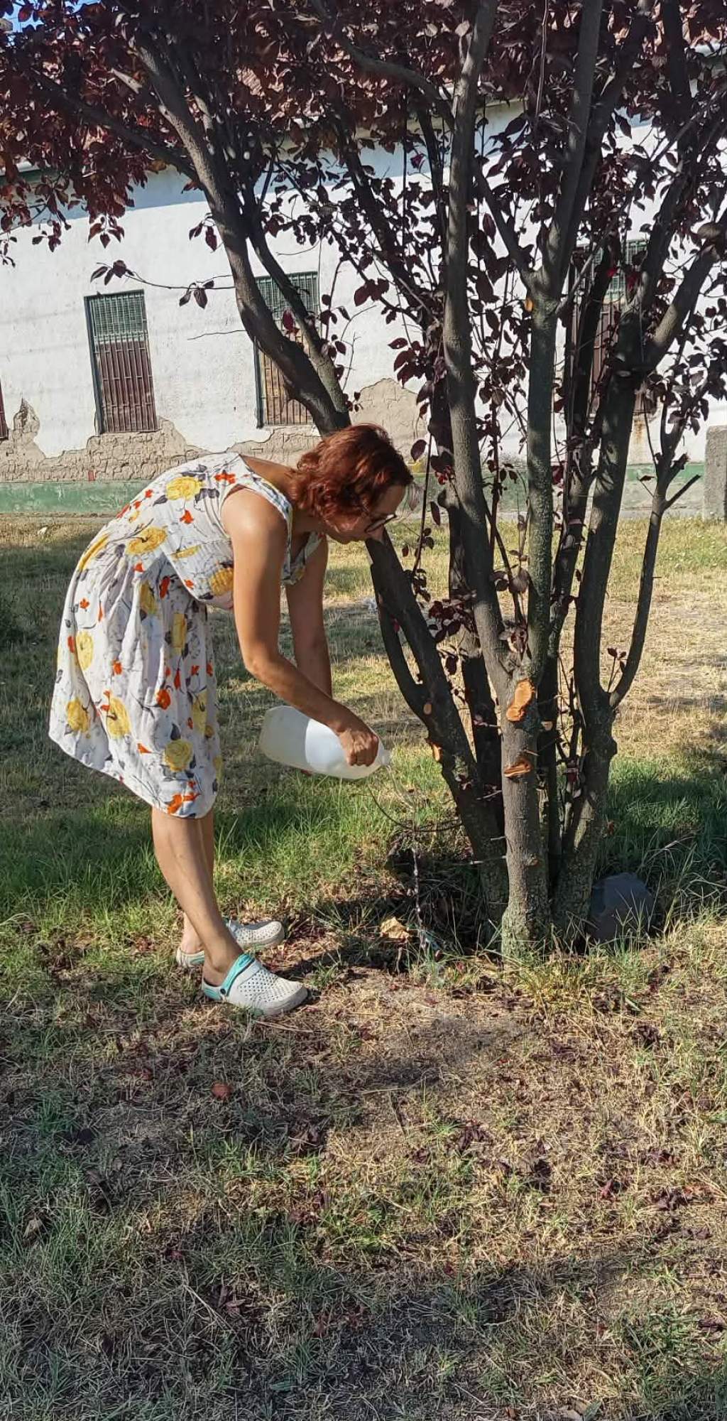 Éltető vízcseppek a Kurucz téri kőkereszt tövében 