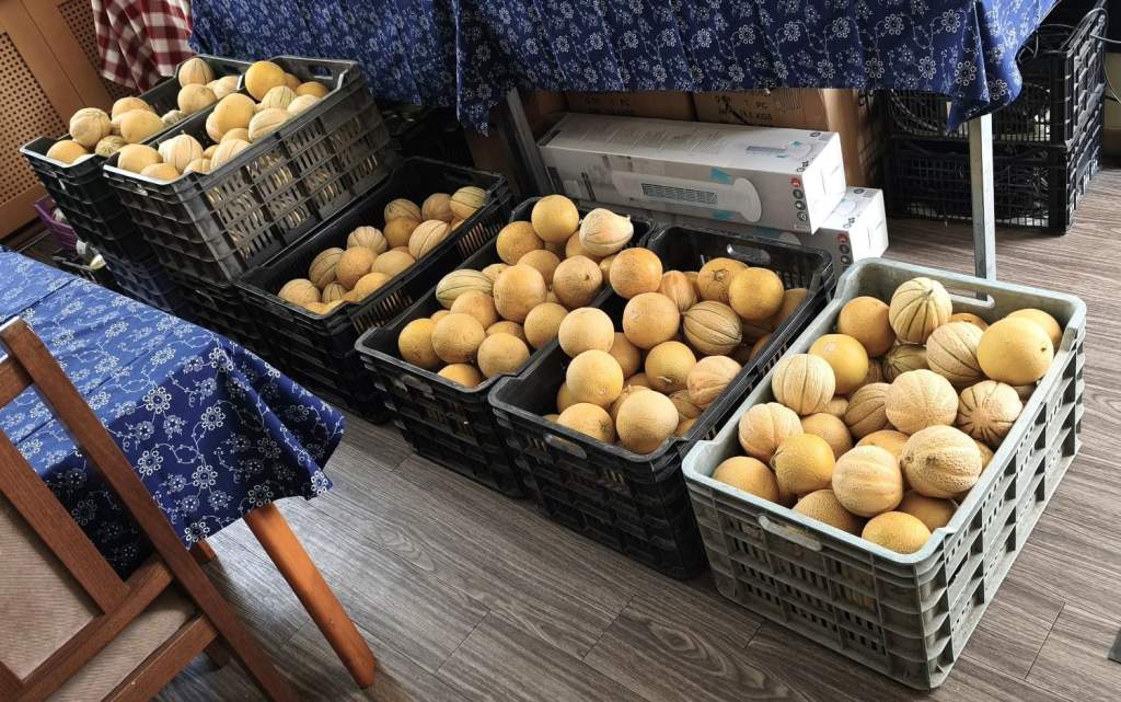Édes meglepetés Dunavecséről: 300 kg sárgadinnyét kapott a Wojtyla-sorsközösség
