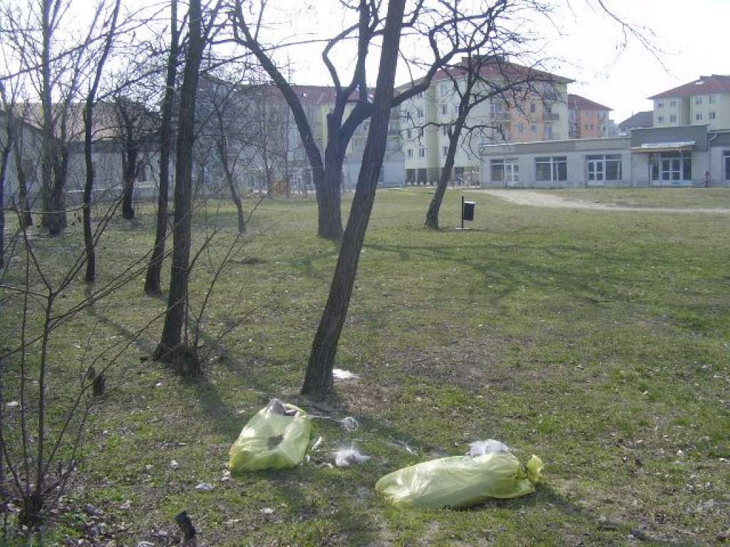 Illegális szemétlerakó a Széchenyiváros szélén