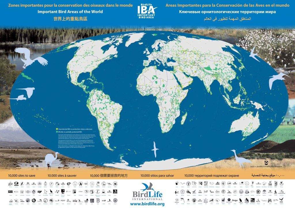 Egy térképen a világ legfontosabb madár- és természetvédelmi területei