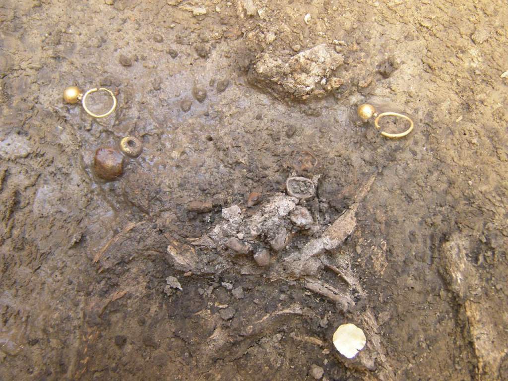 Színarany avar-kori fülbevalót találtak a Móra-múzeum régészei