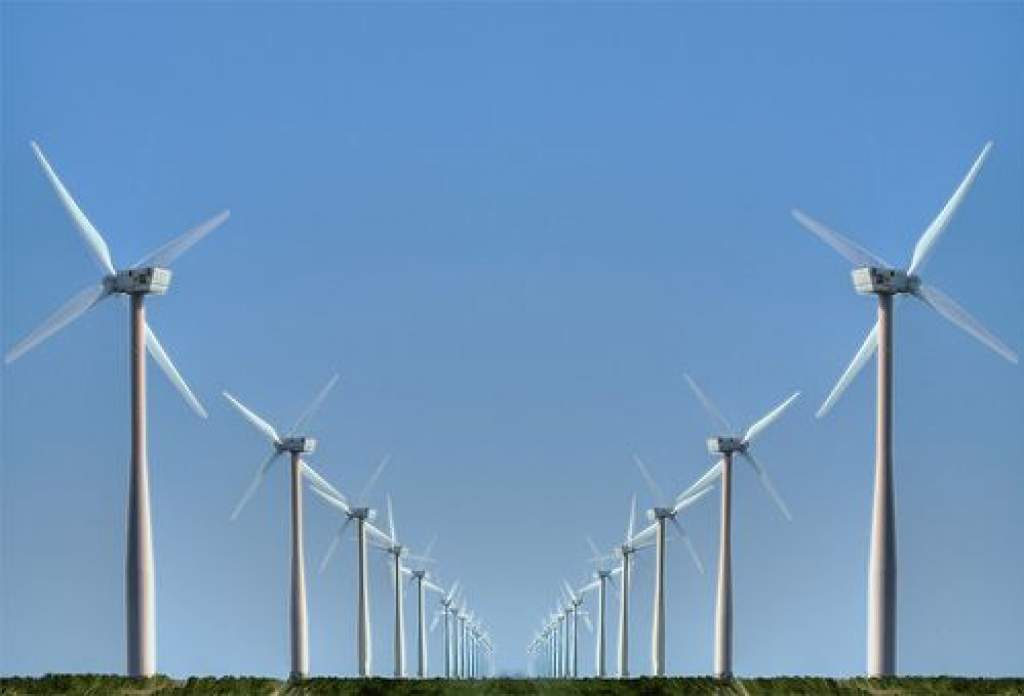 A megújuló energiaforrások is veszélyt jelenthetnek az élővilágra   