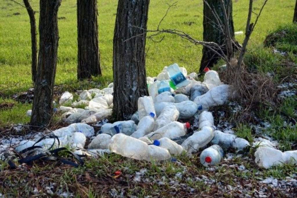 Összehangolt akció az illegális hulladék ellen Kecskeméten