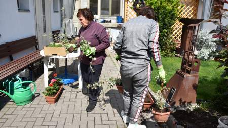 Virágokat ültettek az önkéntesek