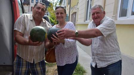 Dinnye és tök Rupa Gyulától