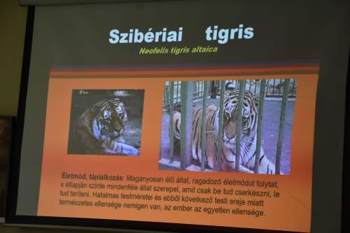 Bolygónk állatvilága